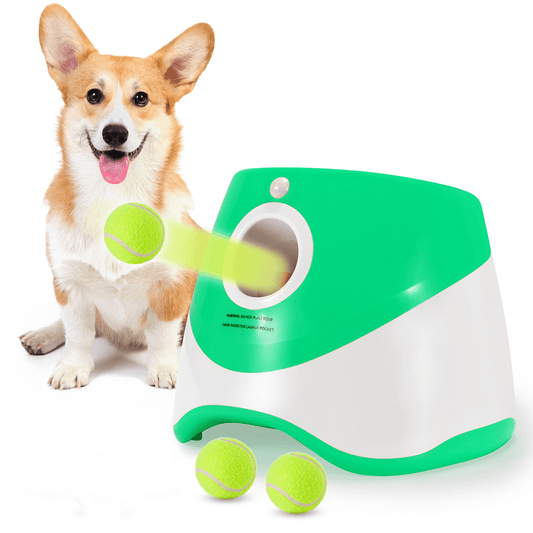 Lanzador Automático de Pelotas de Tenis para Mascotas - Domova